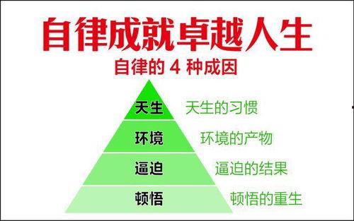 头条自律组织成功案例